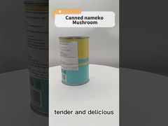 مواد خام طبیعی تازه میوه های کنسرو شده سبزیجات 425 گرم قارچ مزرعه