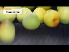 شراب آلو کم الکل 720 میلی لیتر بهترین جفت برای سوشی