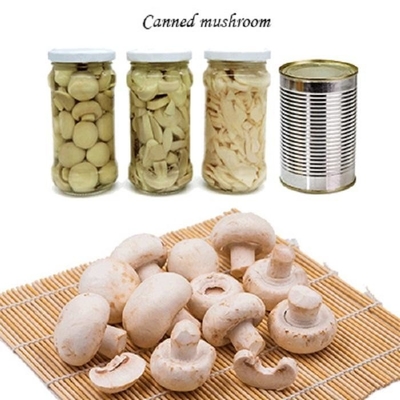 قارچ Champignon میوه های کنسرو شده سبزیجات Champing Mushroom Slices