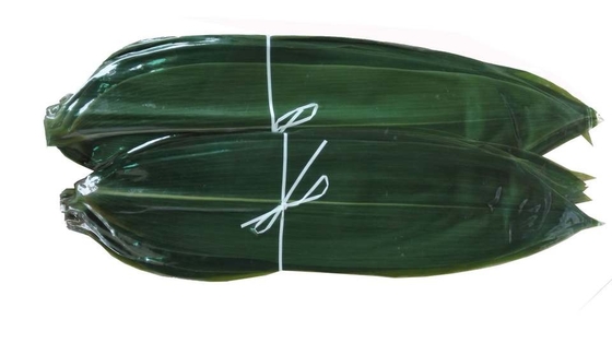 تزئین سوشی Sashimi تازه بامبو برگ Zongye 7.5cm