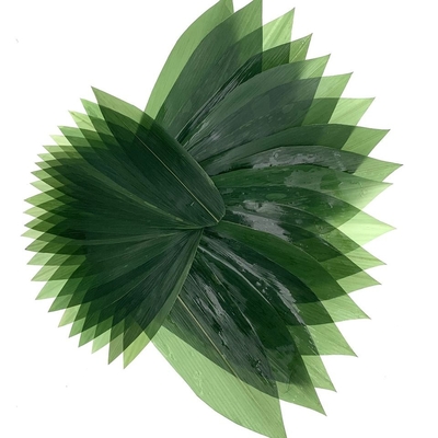 تزئین سوشی Sashimi تازه بامبو برگ Zongye 7.5cm