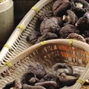 قارچ شیتاکه خشک سالم 1 کیلوگرمی سطح صاف 2 سال ماندگاری
