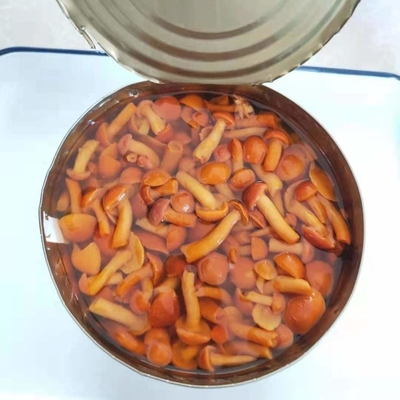 قارچ کاهی 400 گرم استریلیزاسیون دمای بالا نامکو زرد روشن