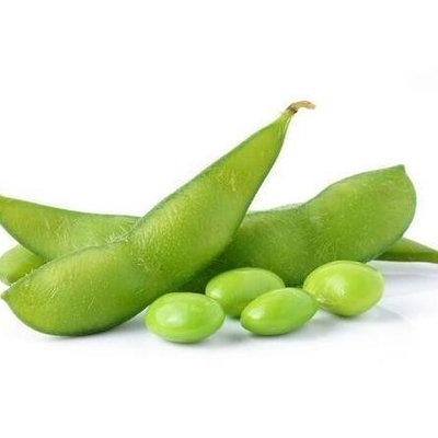لوبیا ادامام منجمد ارگانیک معمولی با گواهینامه KOSHER BRC