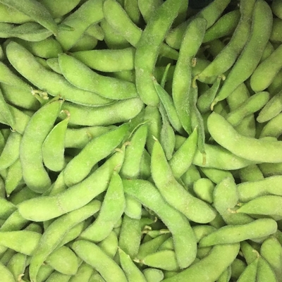 لوبیا ادامام منجمد ارگانیک معمولی با گواهینامه KOSHER BRC